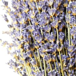Bouquet lavande extra-bleue Lavanderaie