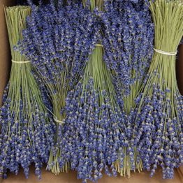 Bouquet lavande extra-bleue